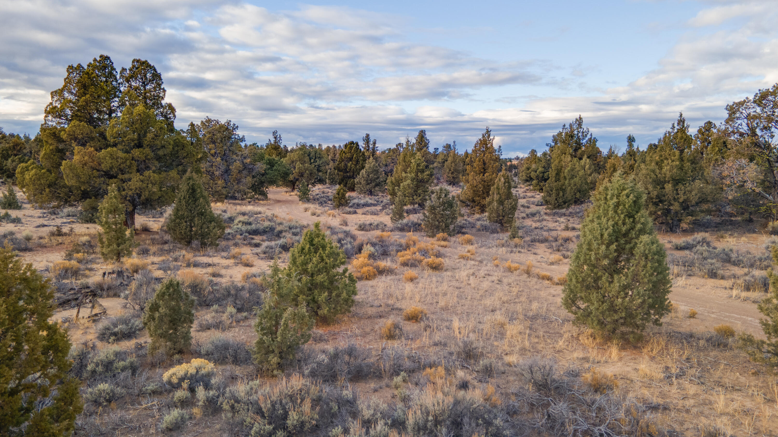 23737 Highway 20