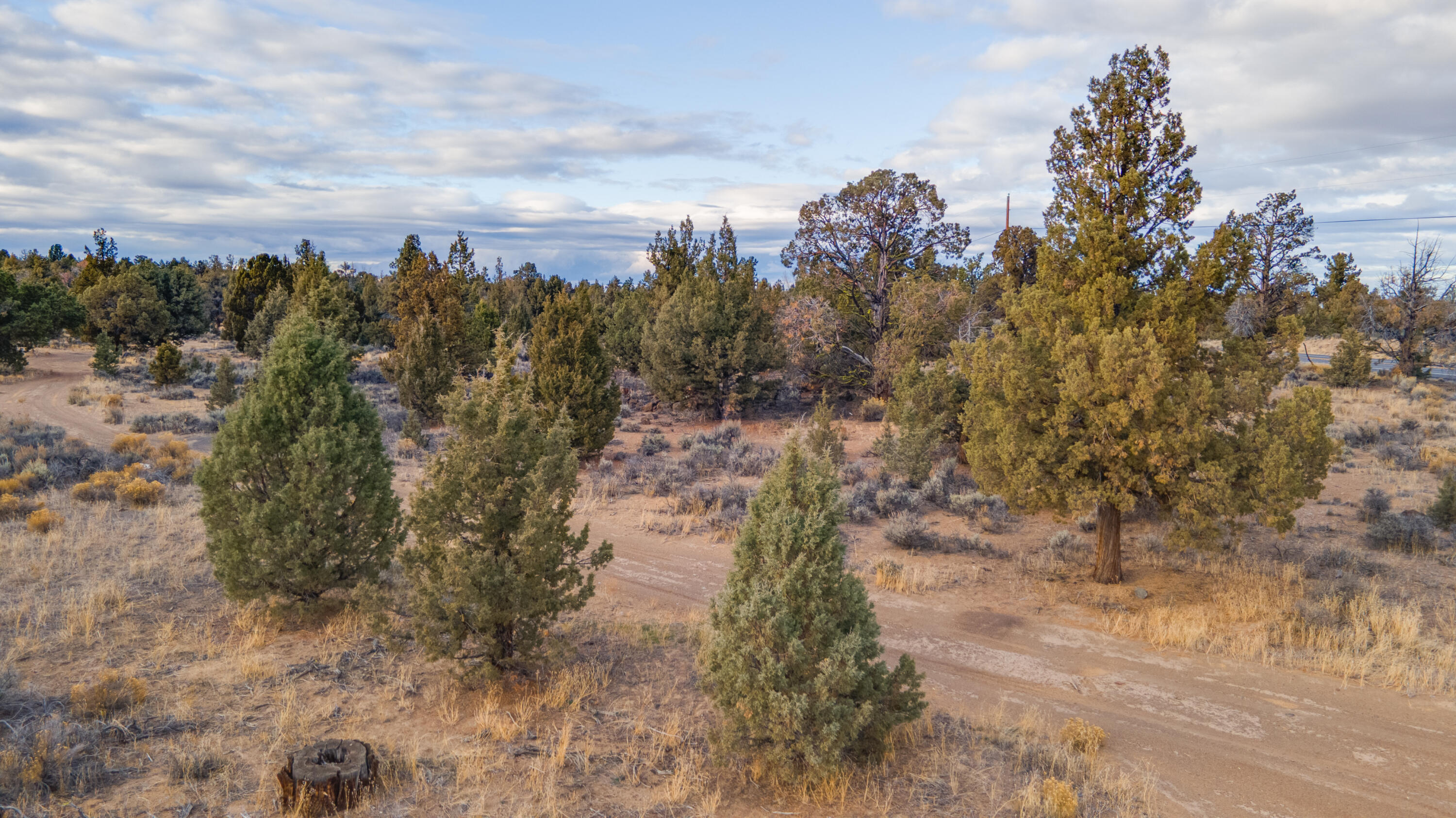 23737 Highway 20