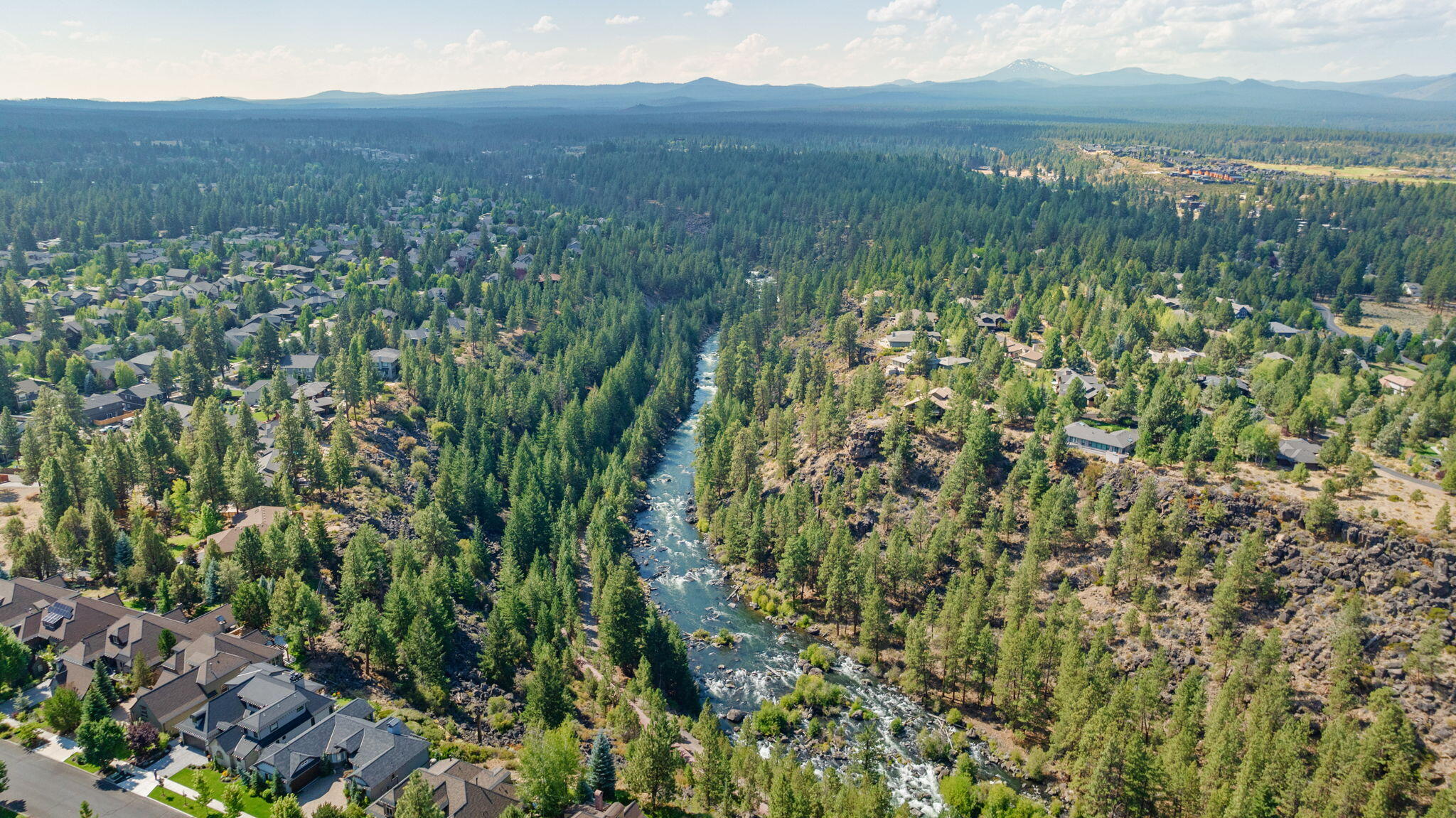 19788 Chicory Avenue