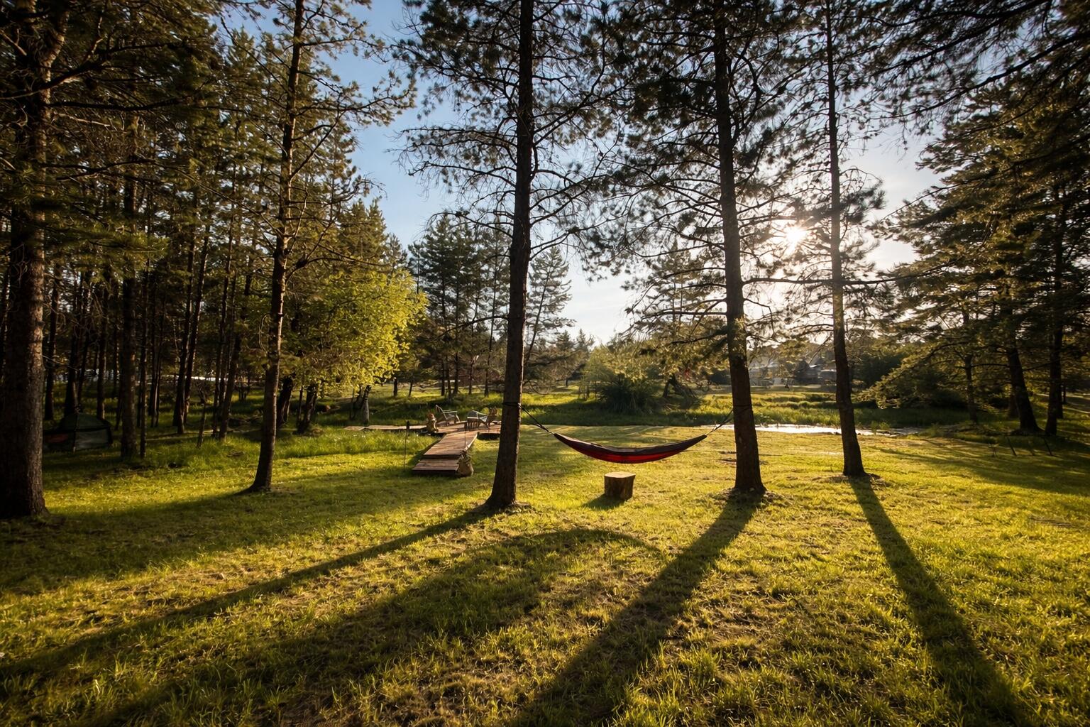 17157 Wood Duck Court