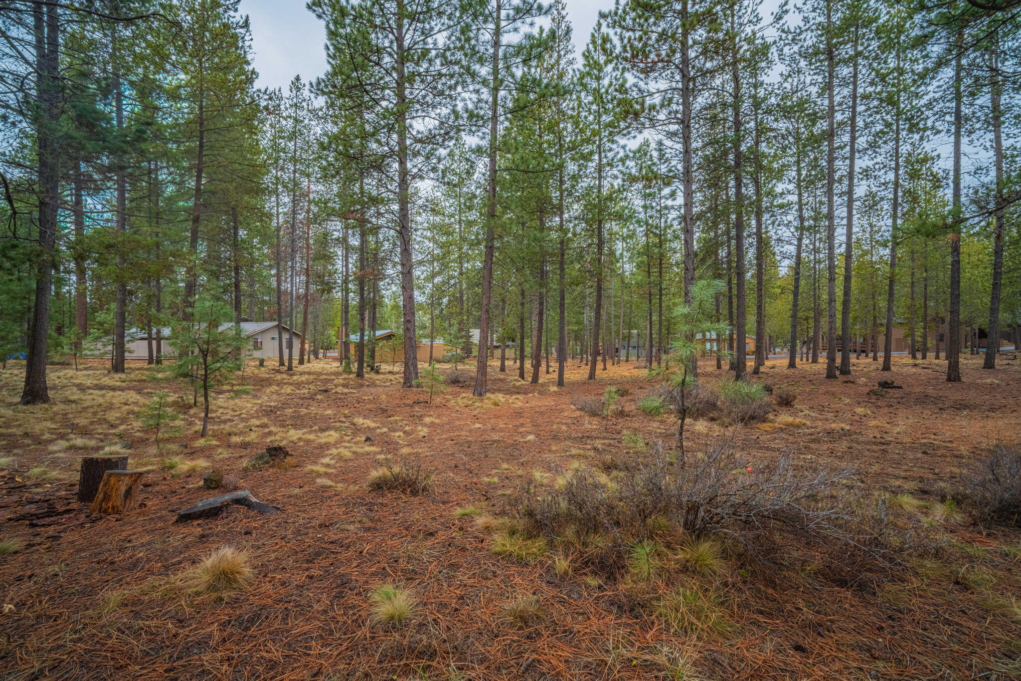 57055 Deer Lane, 7