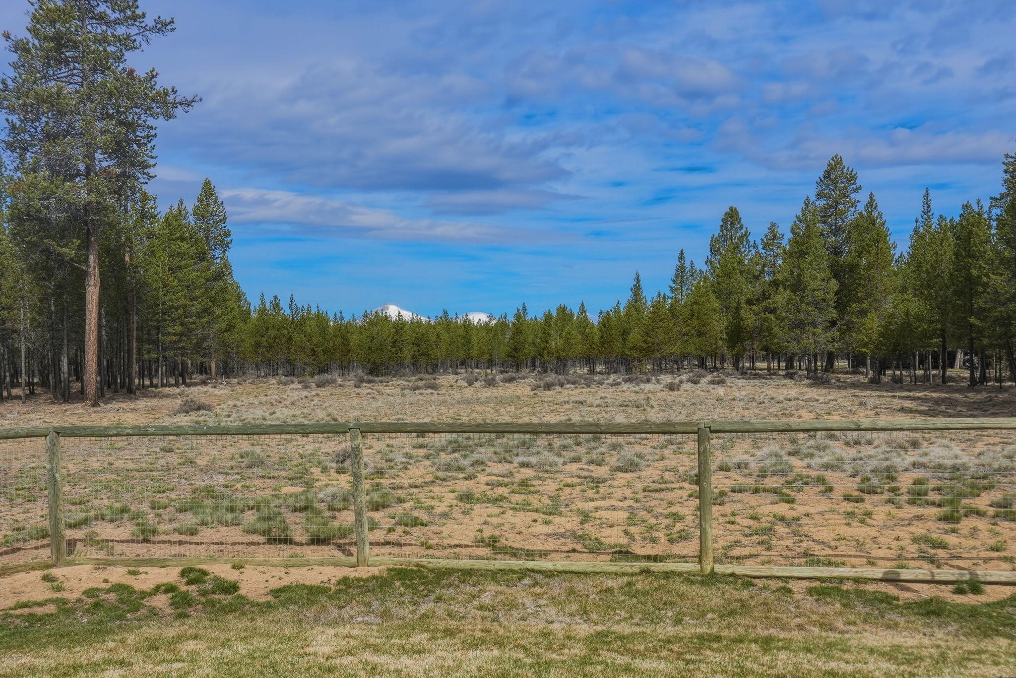 16905 Pleasant View Court