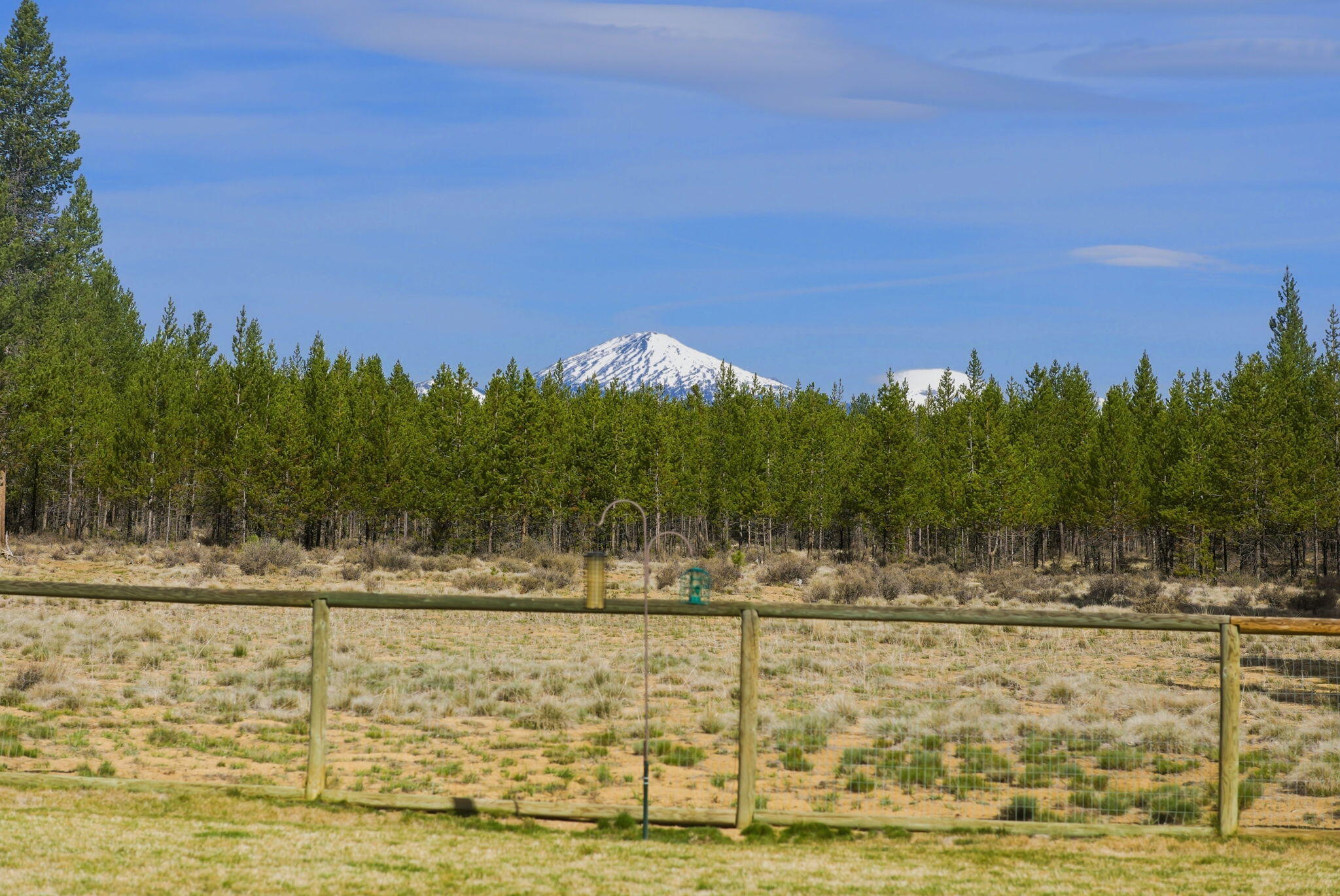 16905 Pleasant View Court