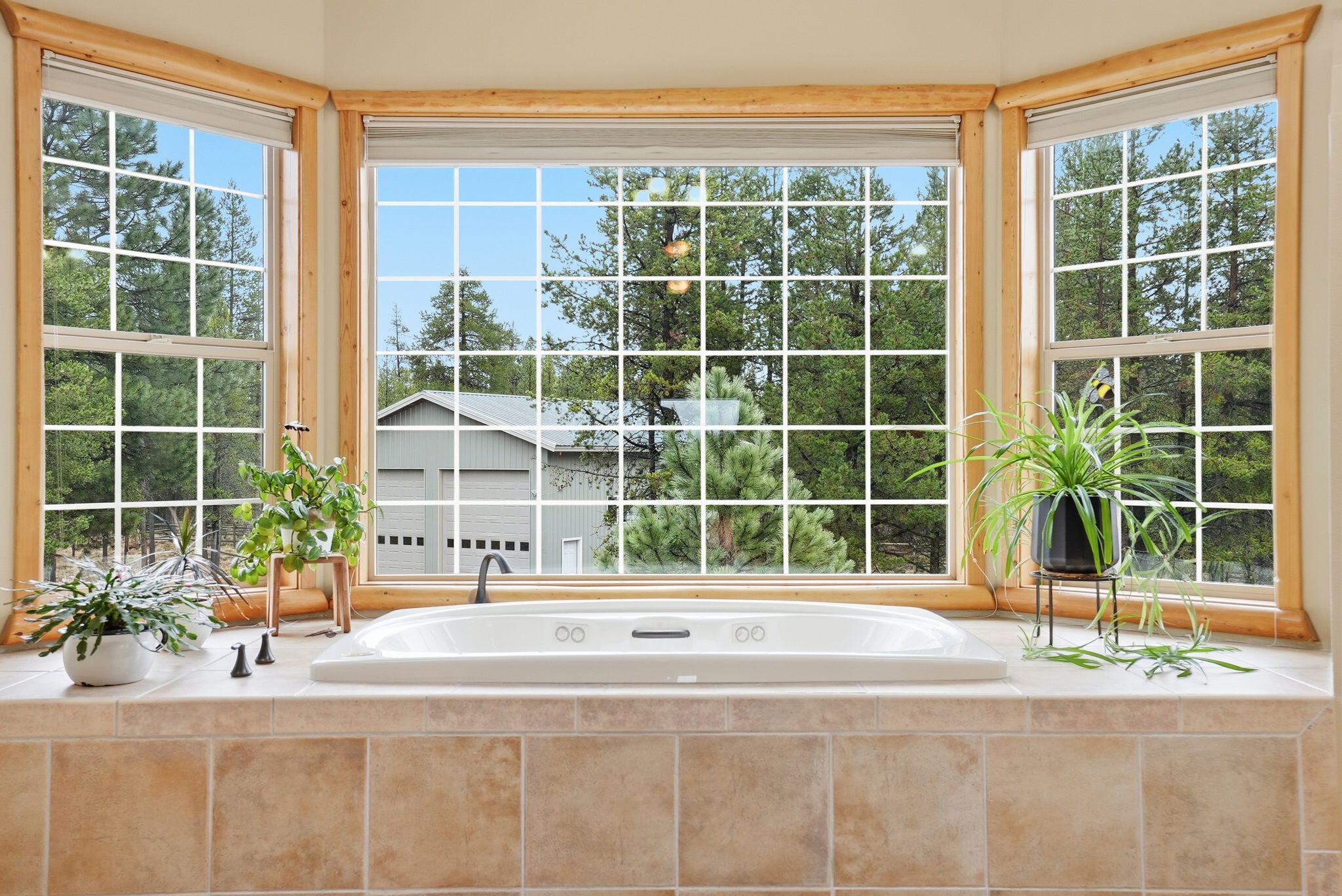 16905 Pleasant View Court