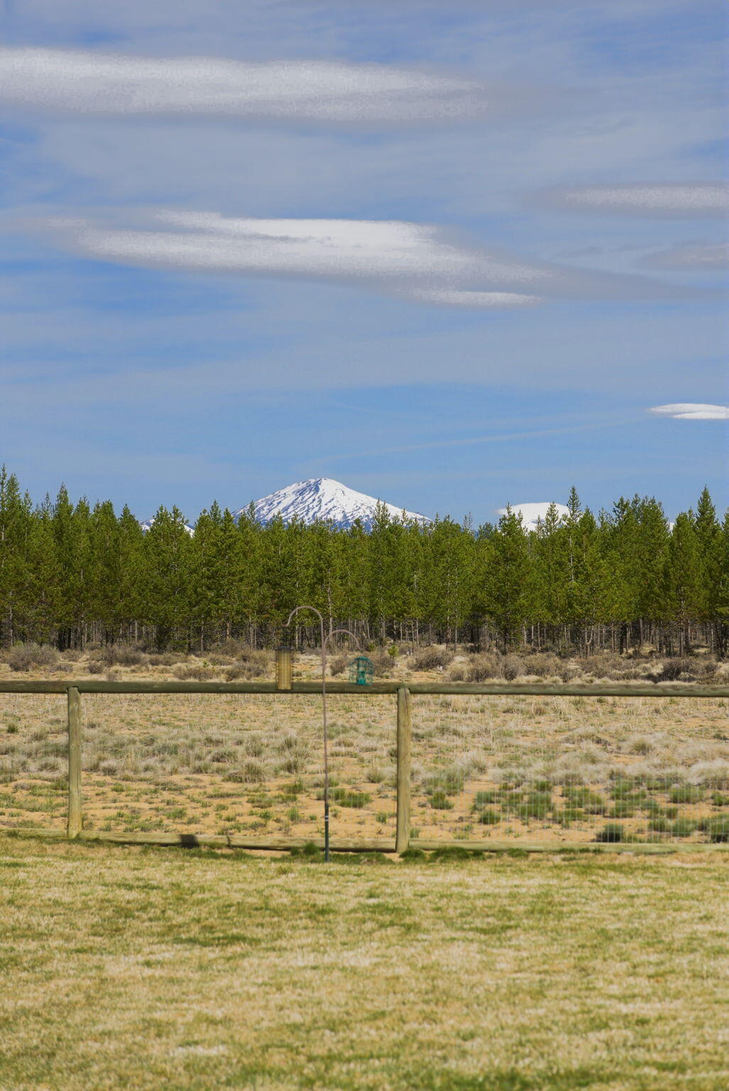 16905 Pleasant View Court