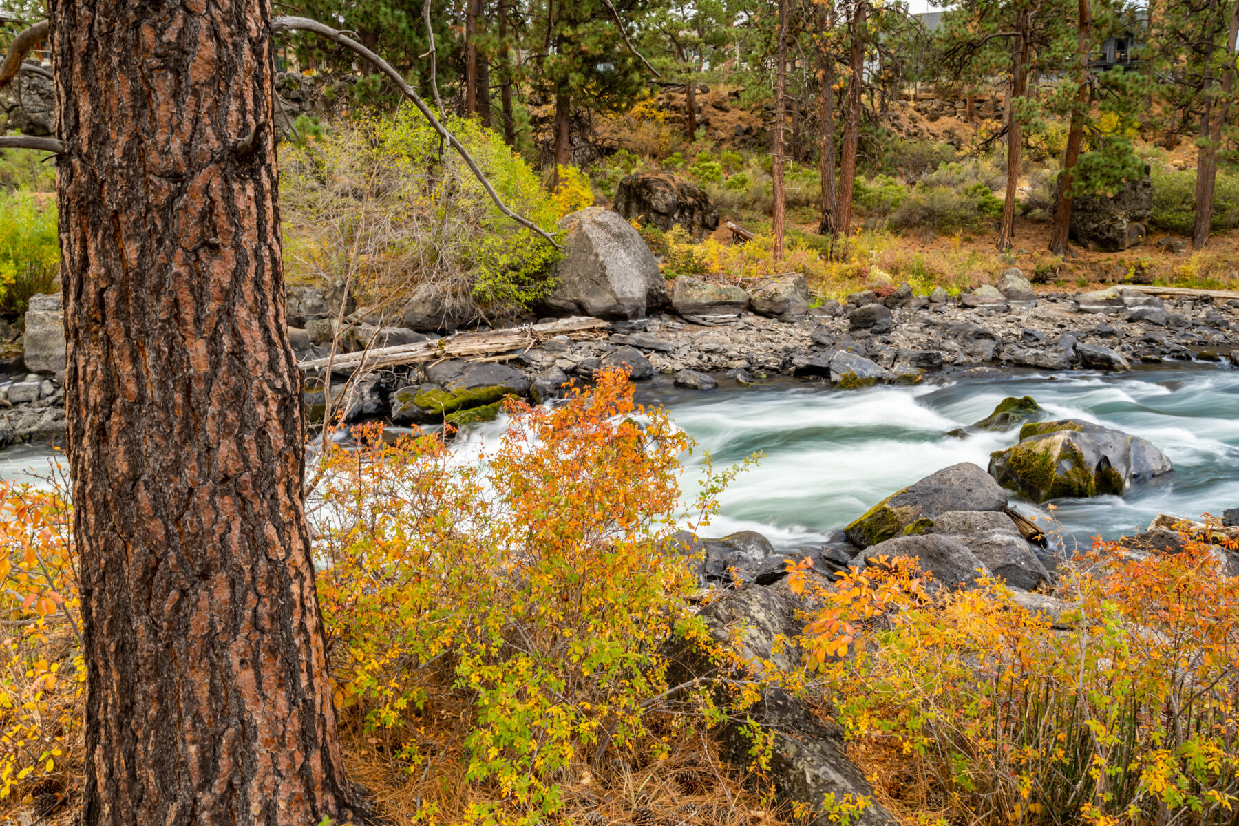 61015 River Bluff Trail