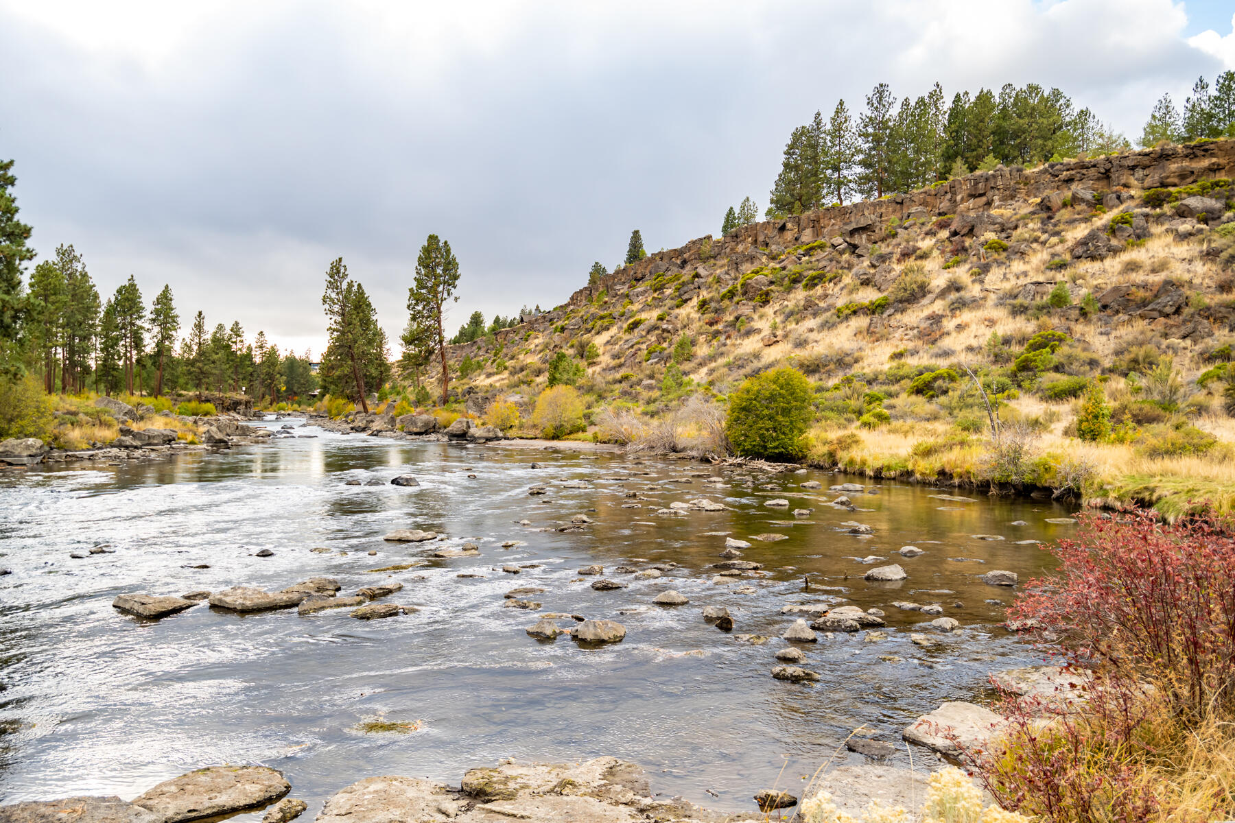61015 River Bluff Trail