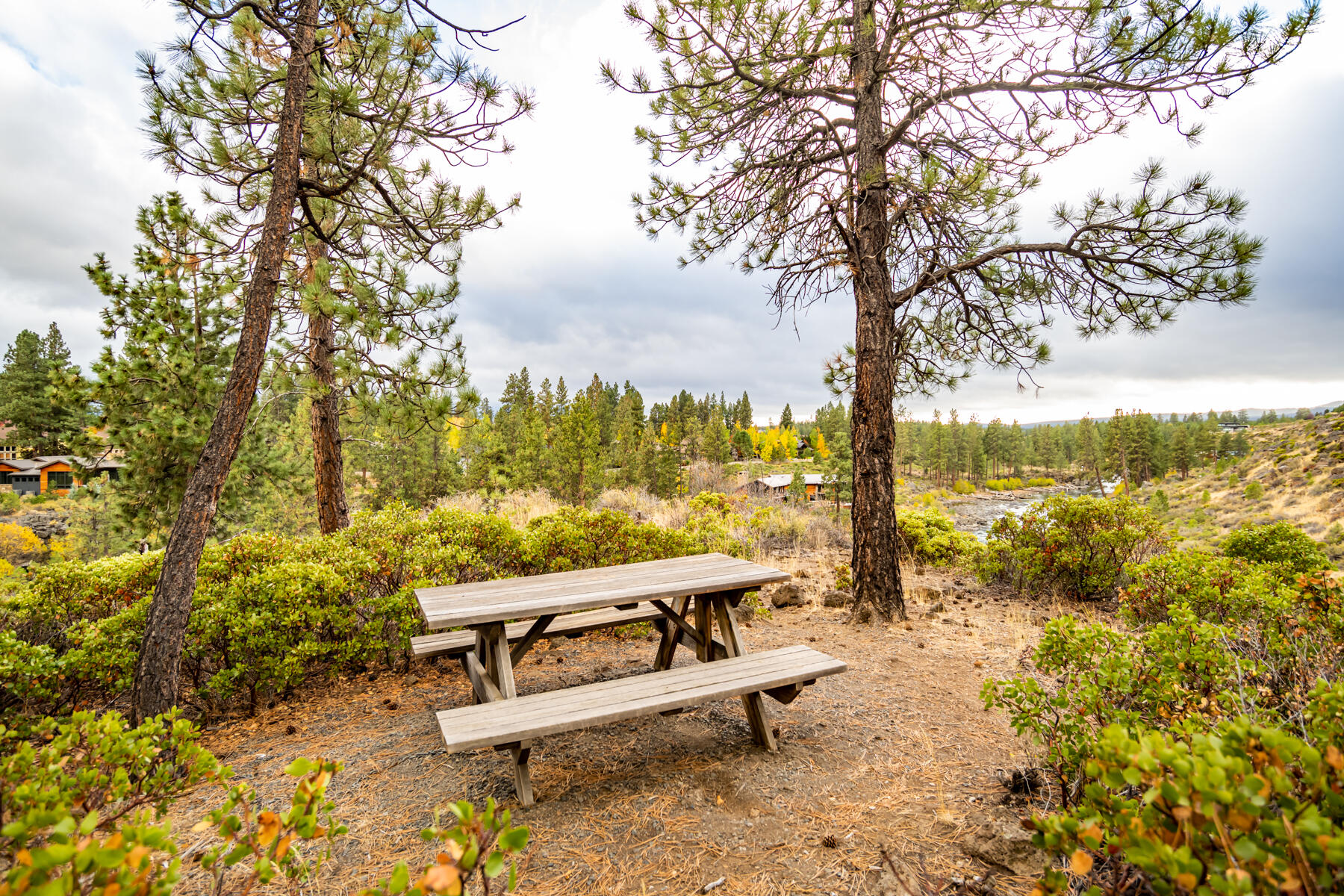 61015 River Bluff Trail