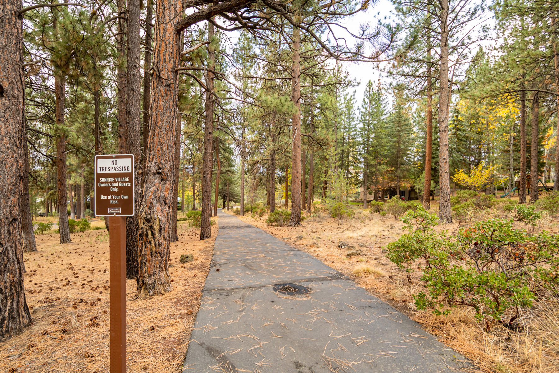 61015 River Bluff Trail
