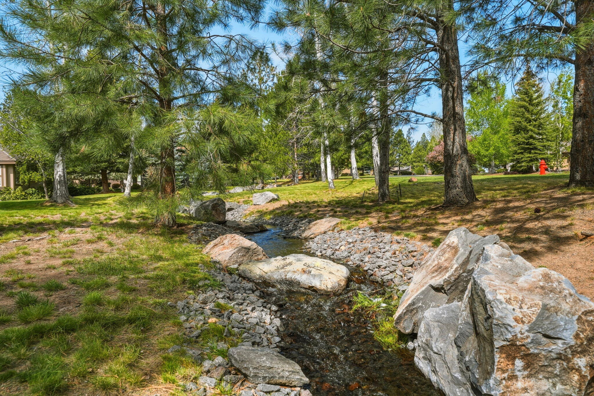 19288 Goose Creek Court