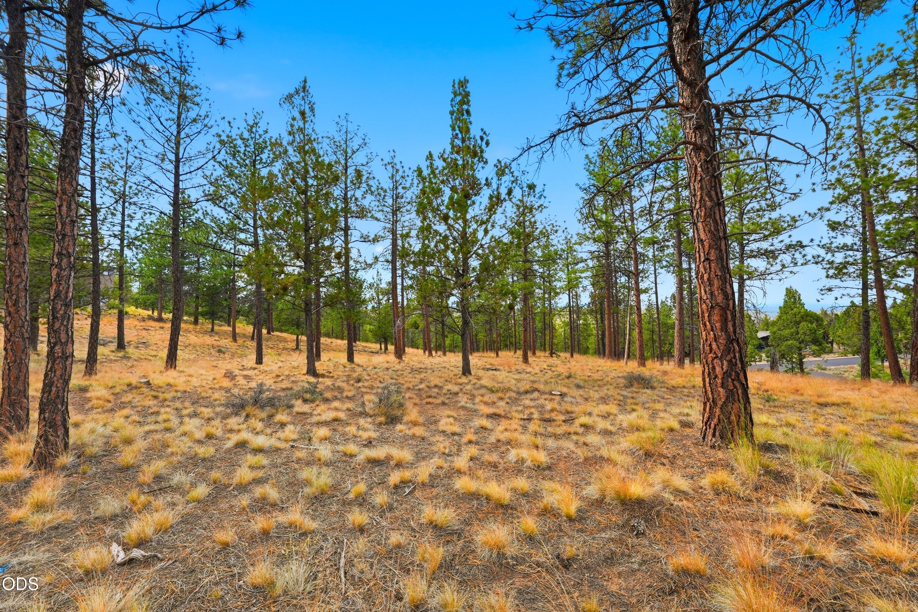 3404 NW Greenleaf Way, Homesite 50