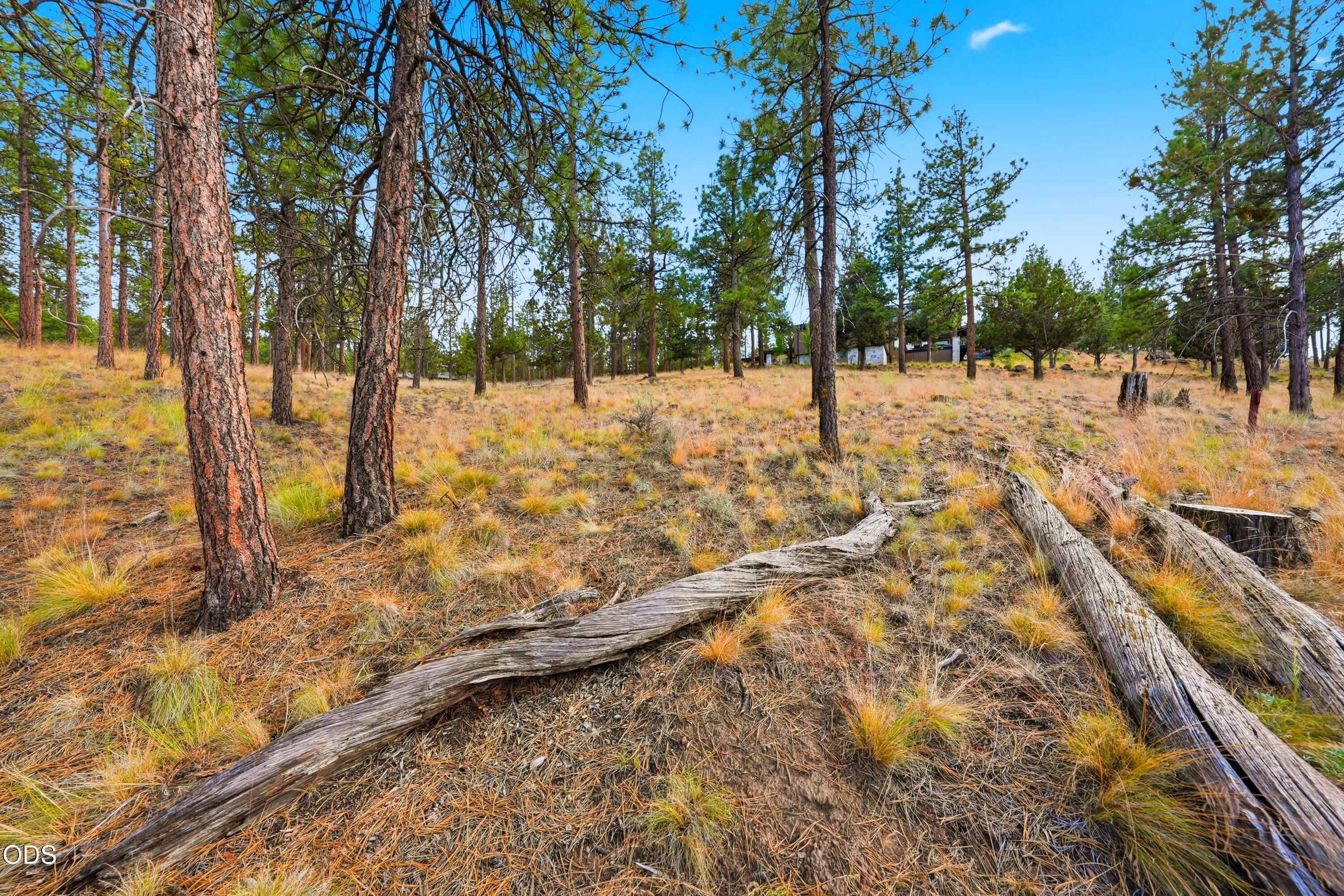 3404 NW Greenleaf Way, Homesite 50