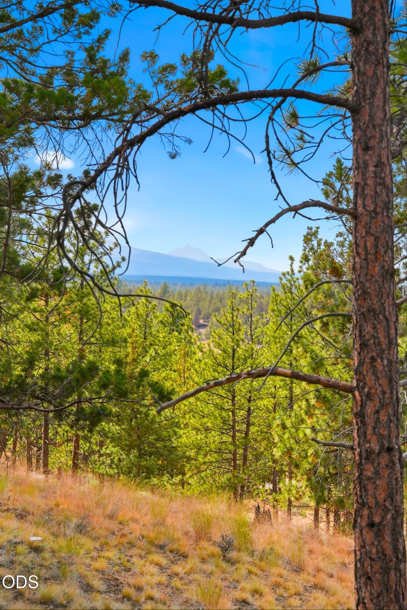 3404 NW Greenleaf Way, Homesite 50