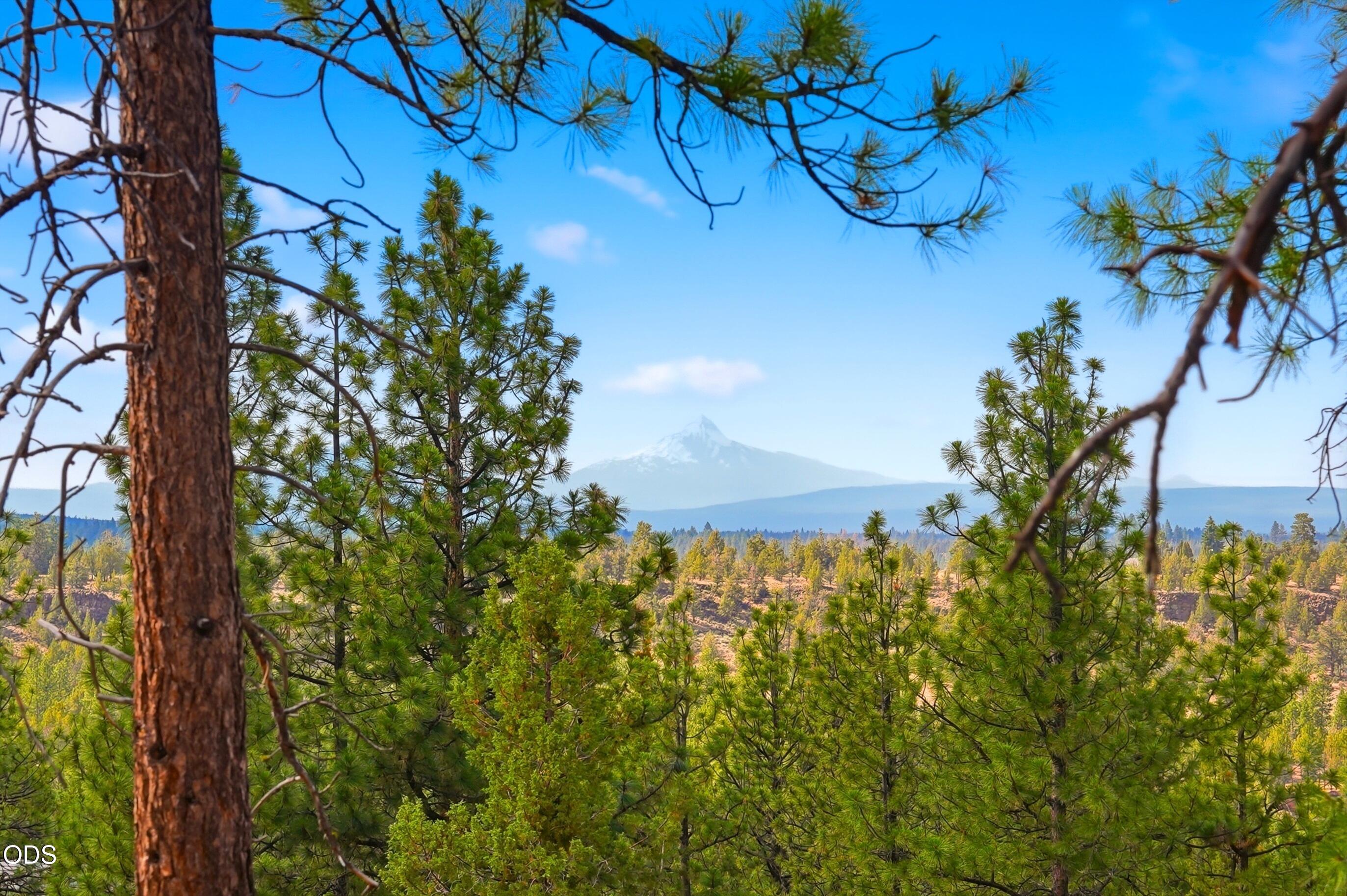 3404 NW Greenleaf Way, Homesite 50