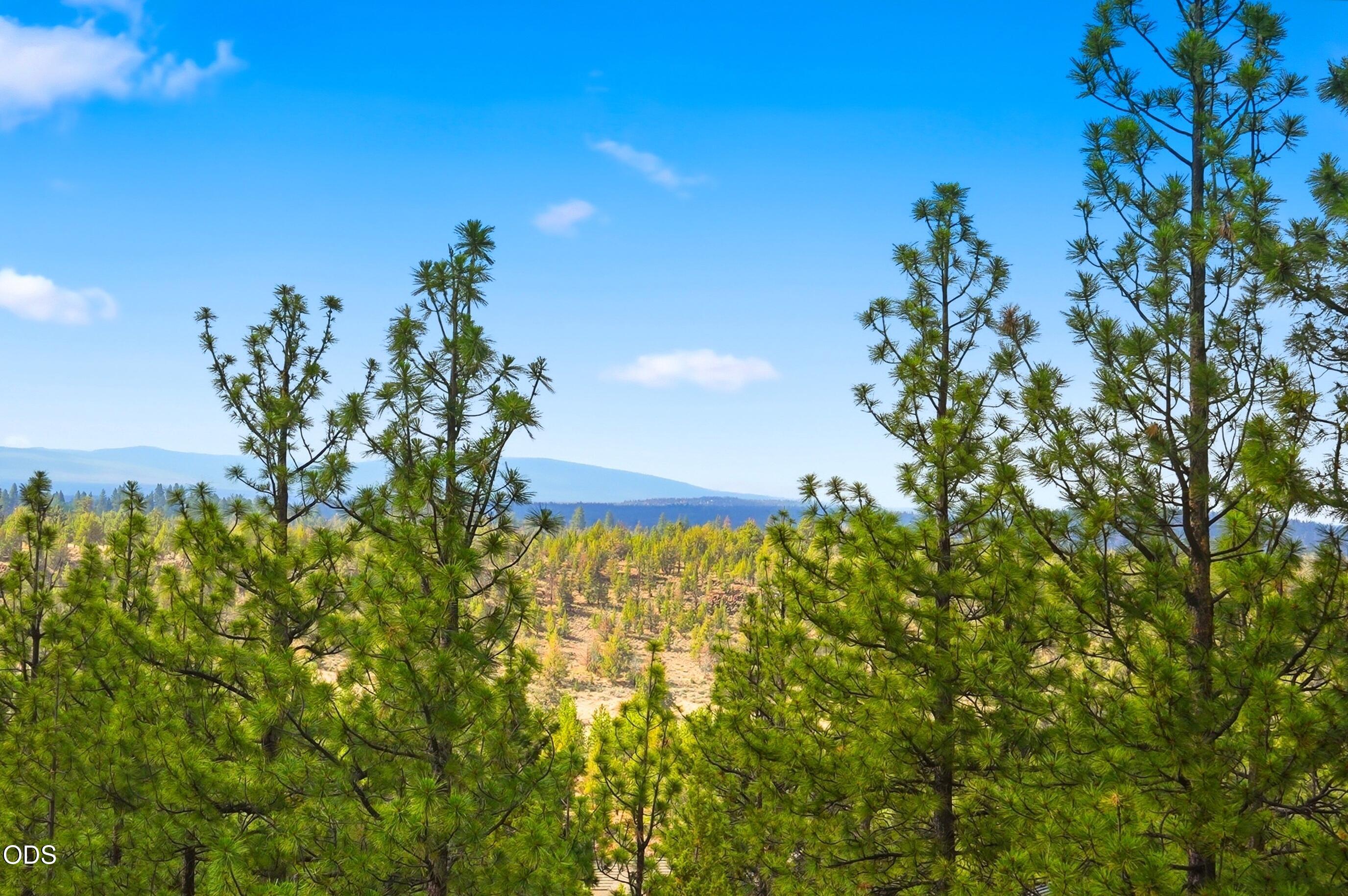 3404 NW Greenleaf Way, Homesite 50
