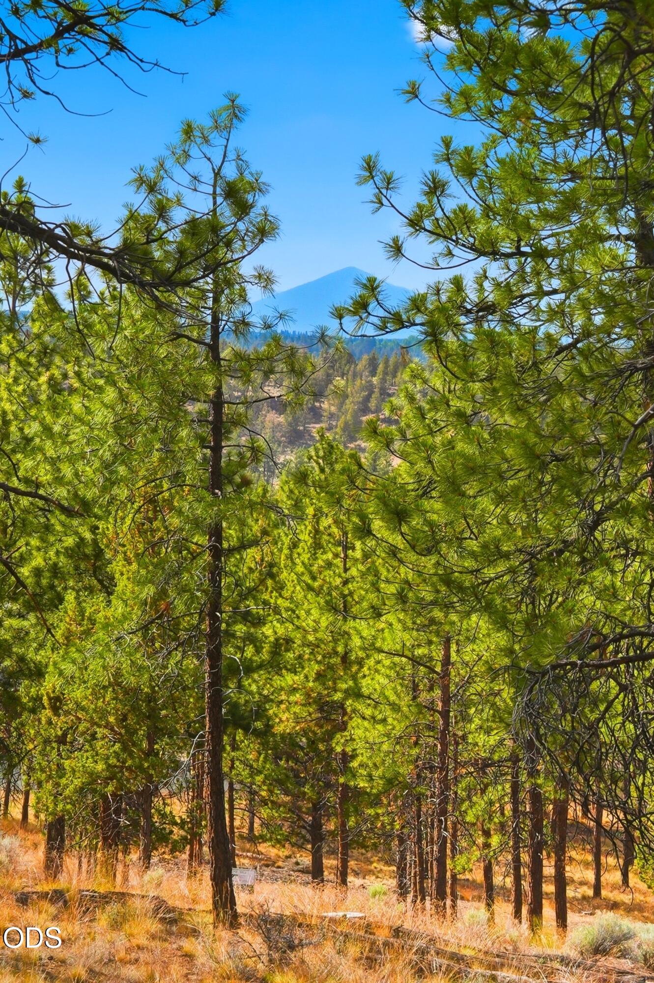 3404 NW Greenleaf Way, Homesite 50