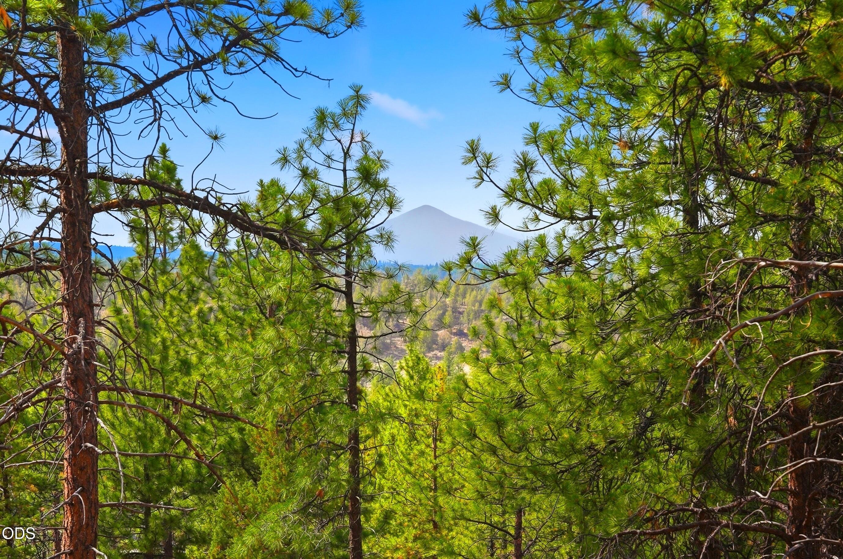 3404 NW Greenleaf Way, Homesite 50