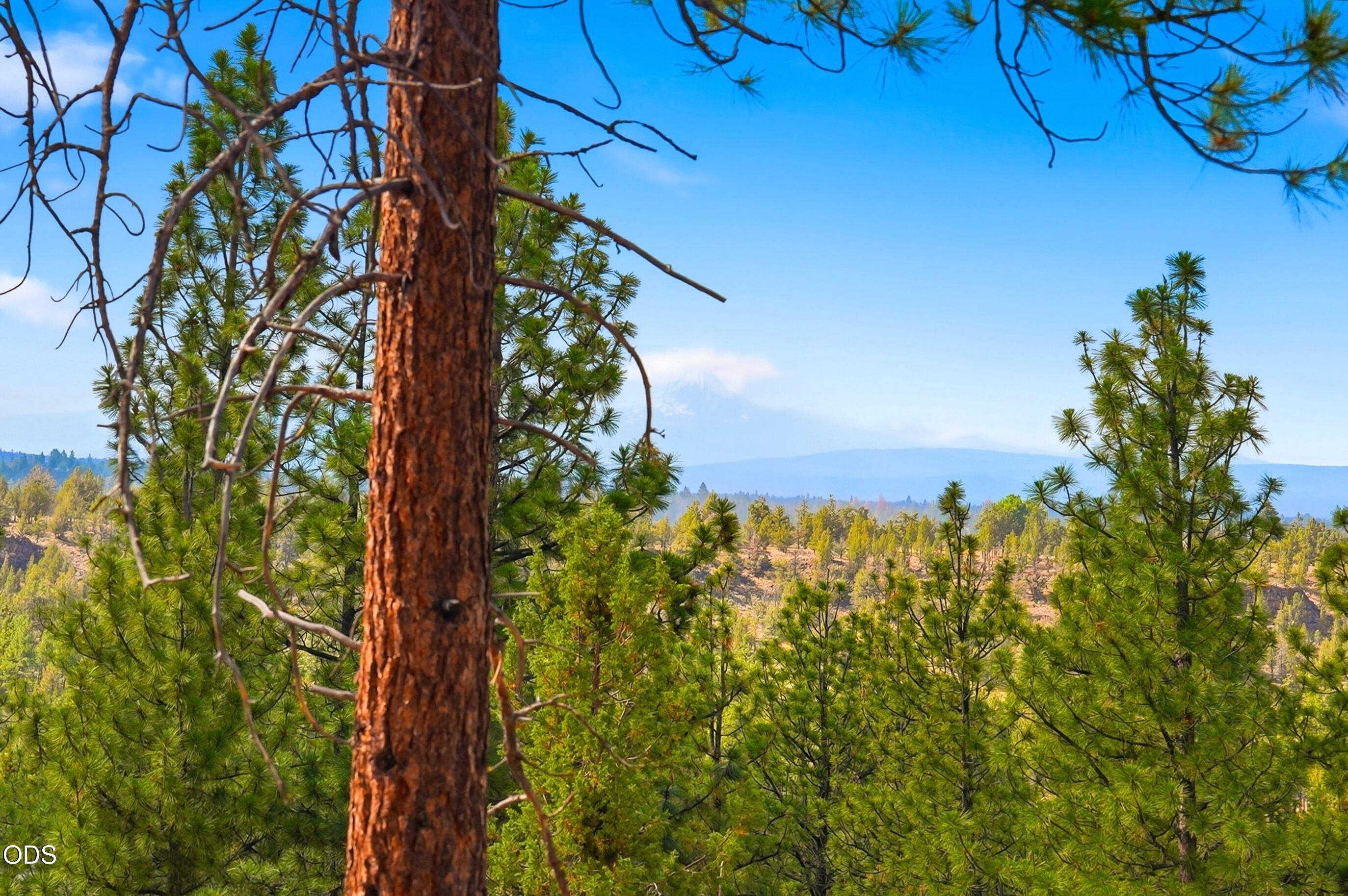 3404 NW Greenleaf Way, Homesite 50