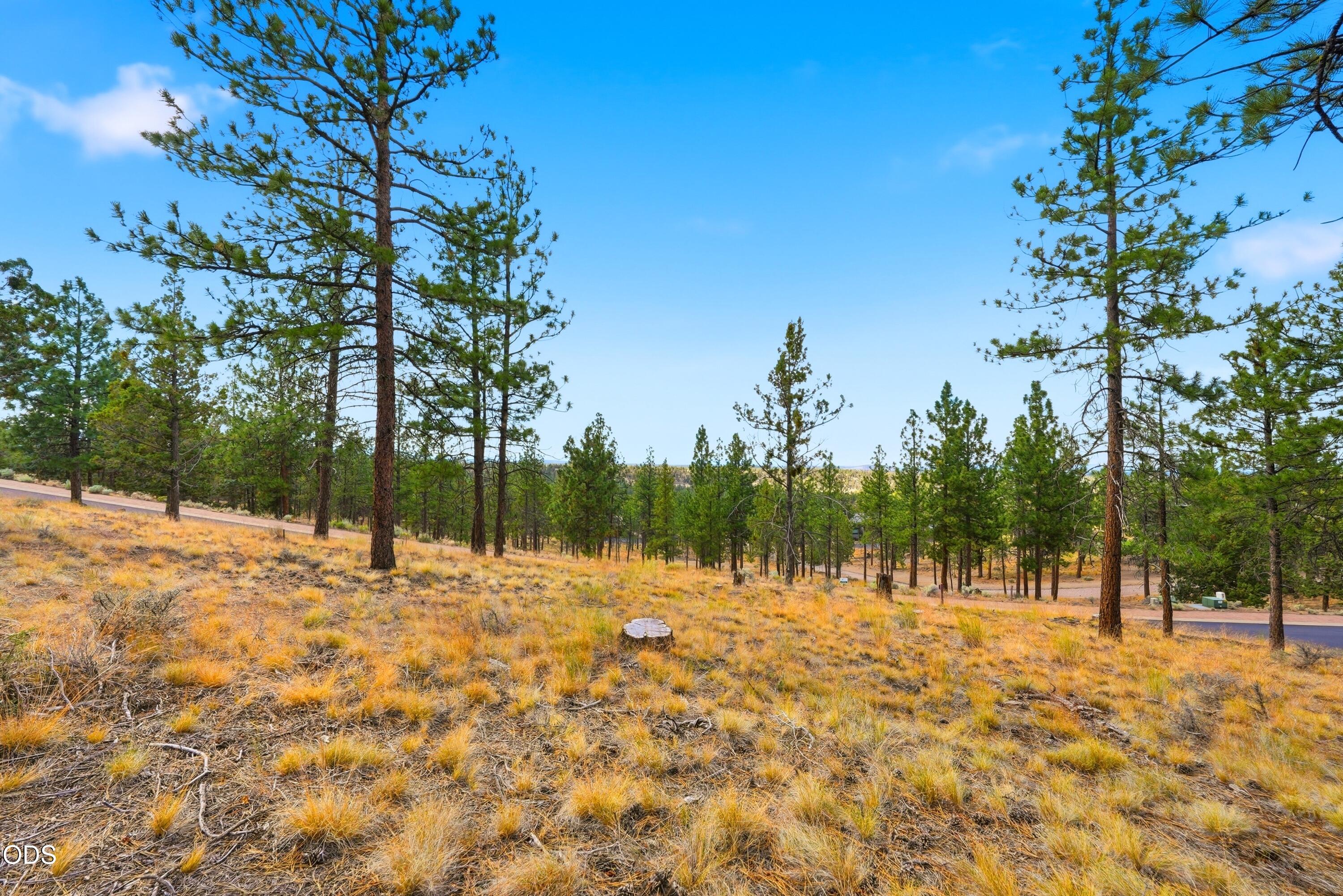 3404 NW Greenleaf Way, Homesite 50