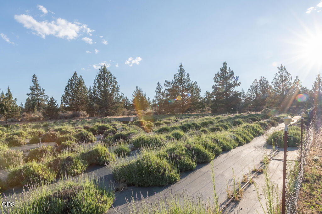 18025 Cascade Estates Drive