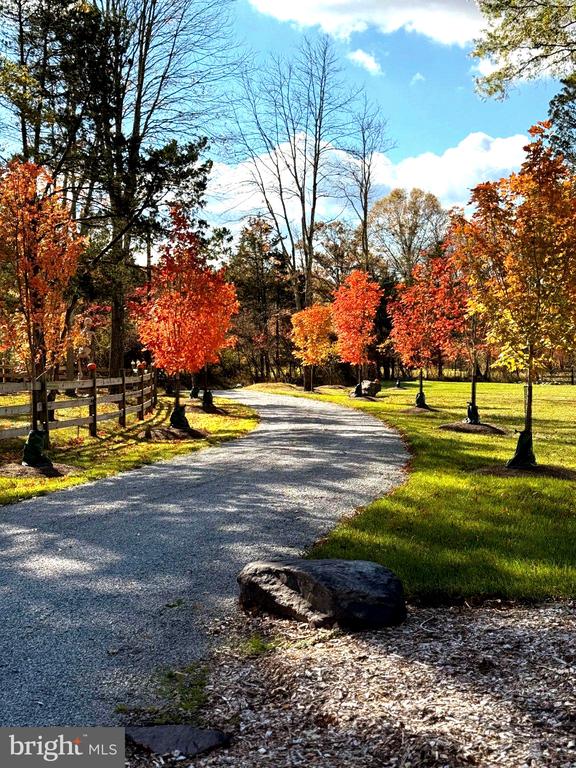 7 PICNIC GROVE ROAD