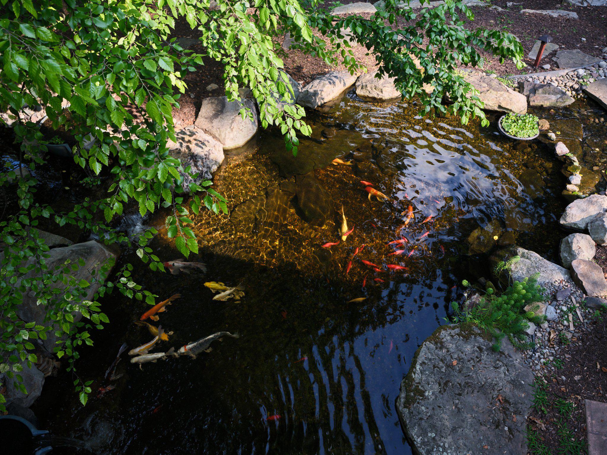 1850 CHAUTAUQUA TRL TRAIL
