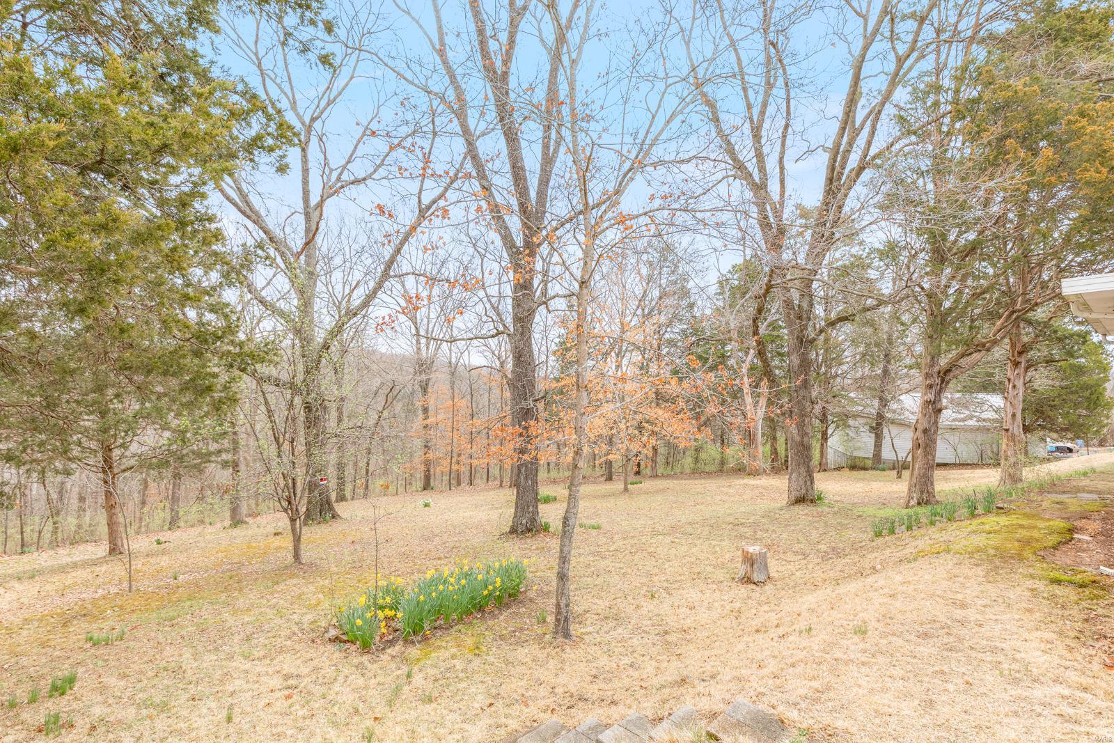 11024 Mapaville Hematite Rd