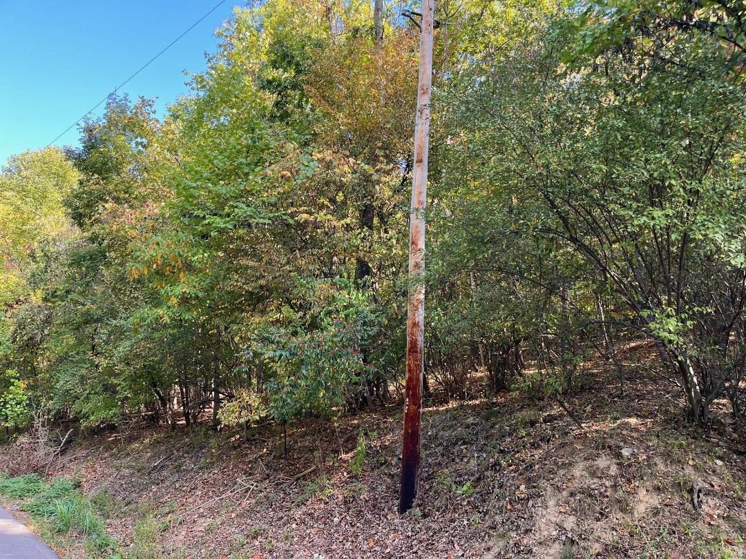 5620 Hunters Ford Rd