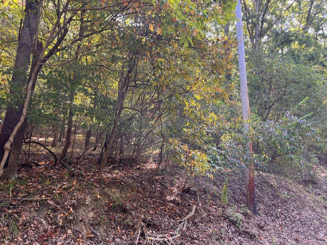 5620 Hunters Ford Rd