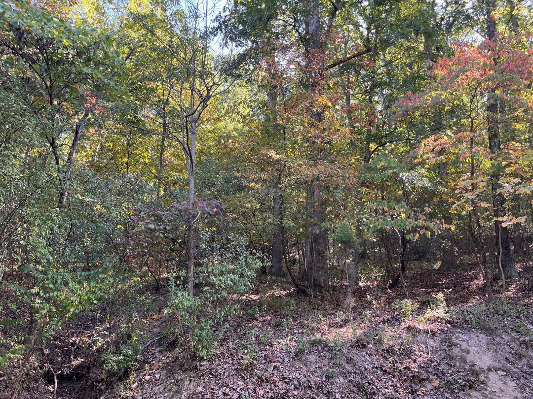 5620 Hunters Ford Rd