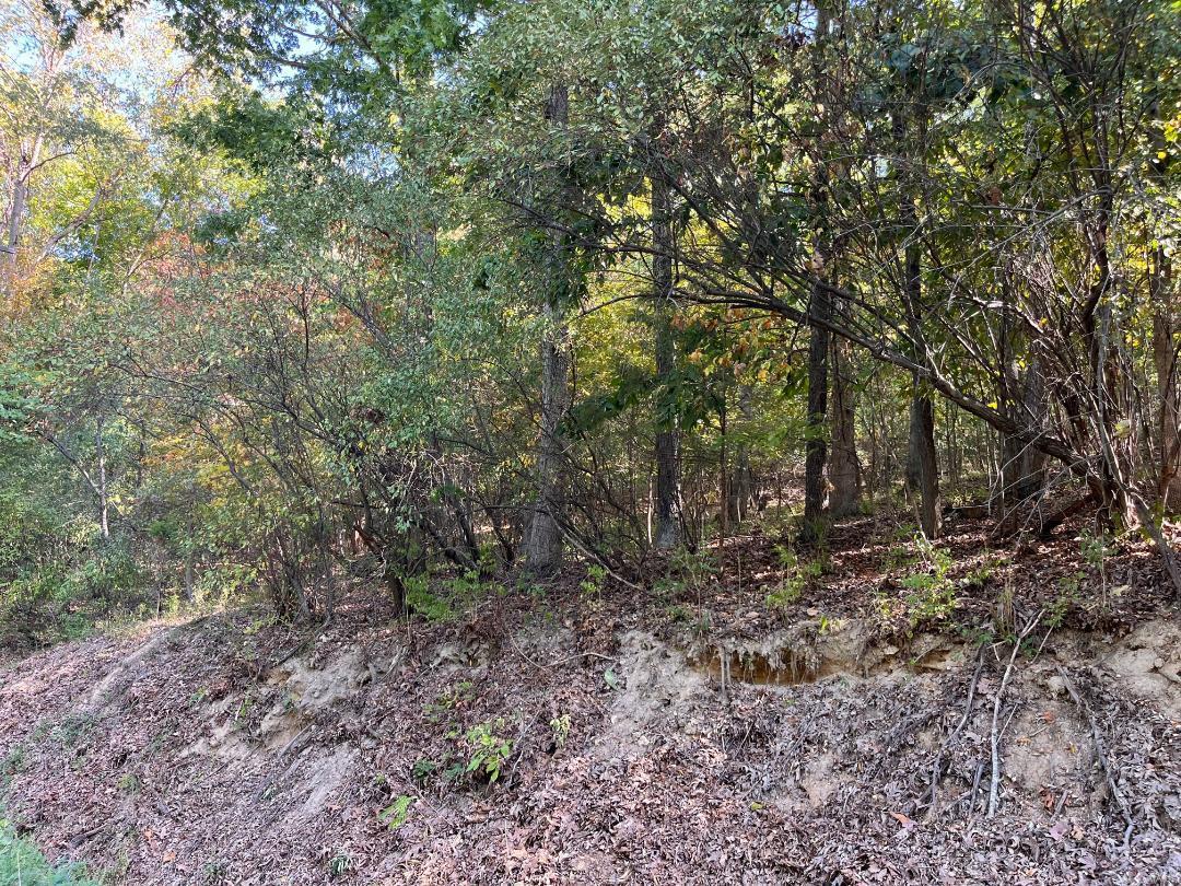 5620 Hunters Ford Rd