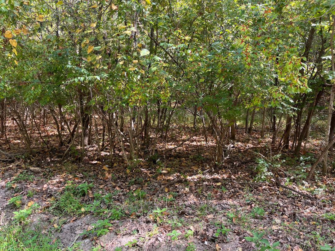 5620 Hunters Ford Rd