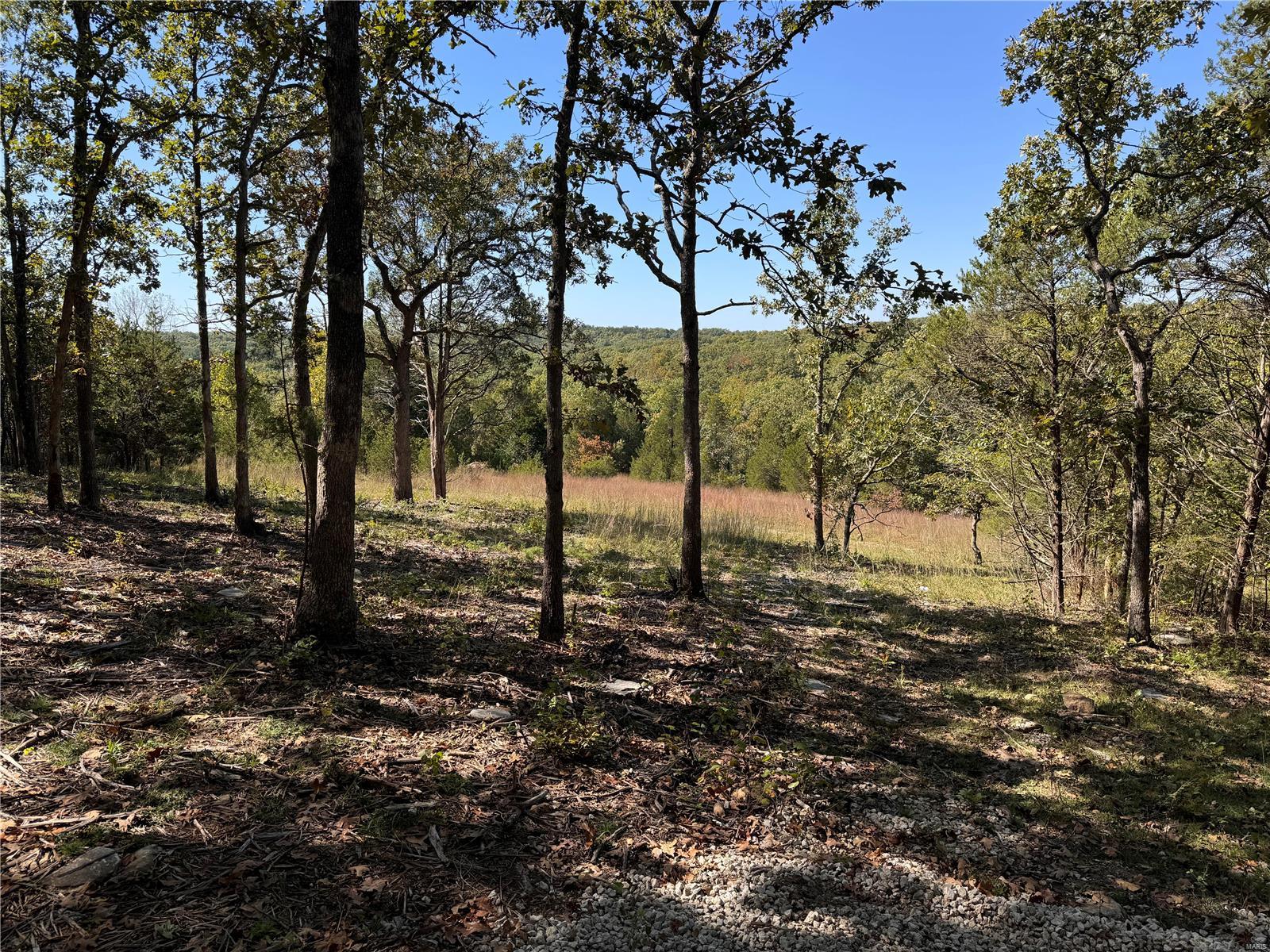 10915 Mapaville Hematite Rd