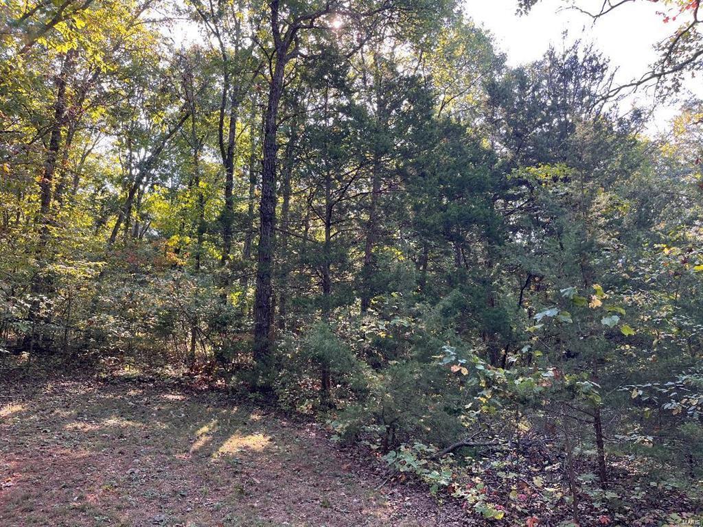 0 Lot 10 Northwood Drive