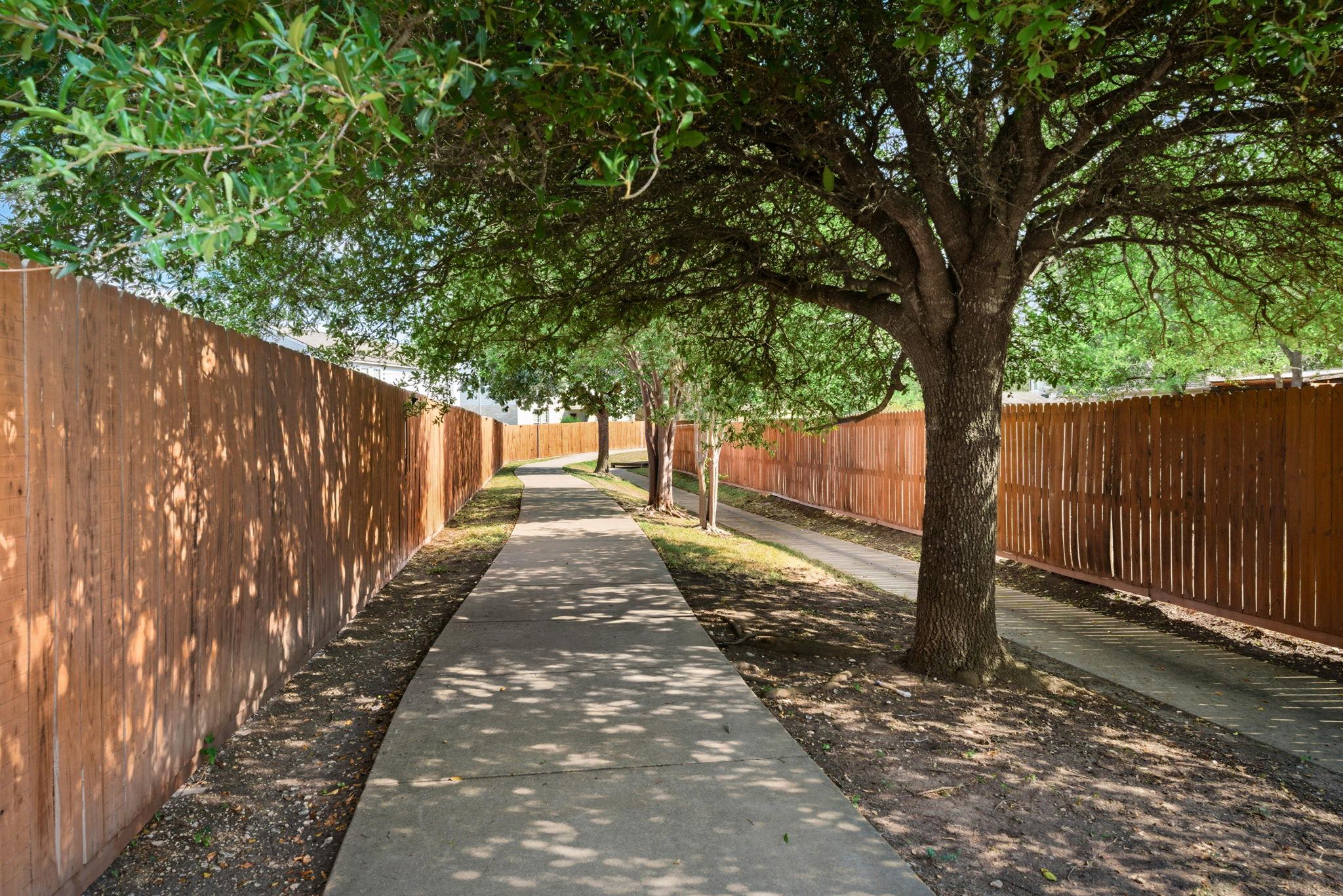 125 Pine CV