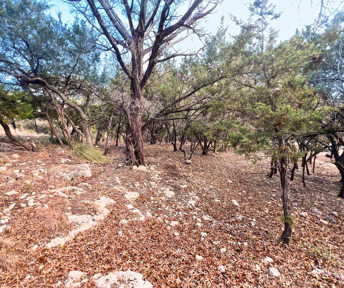 18505 Monet Pointe DR