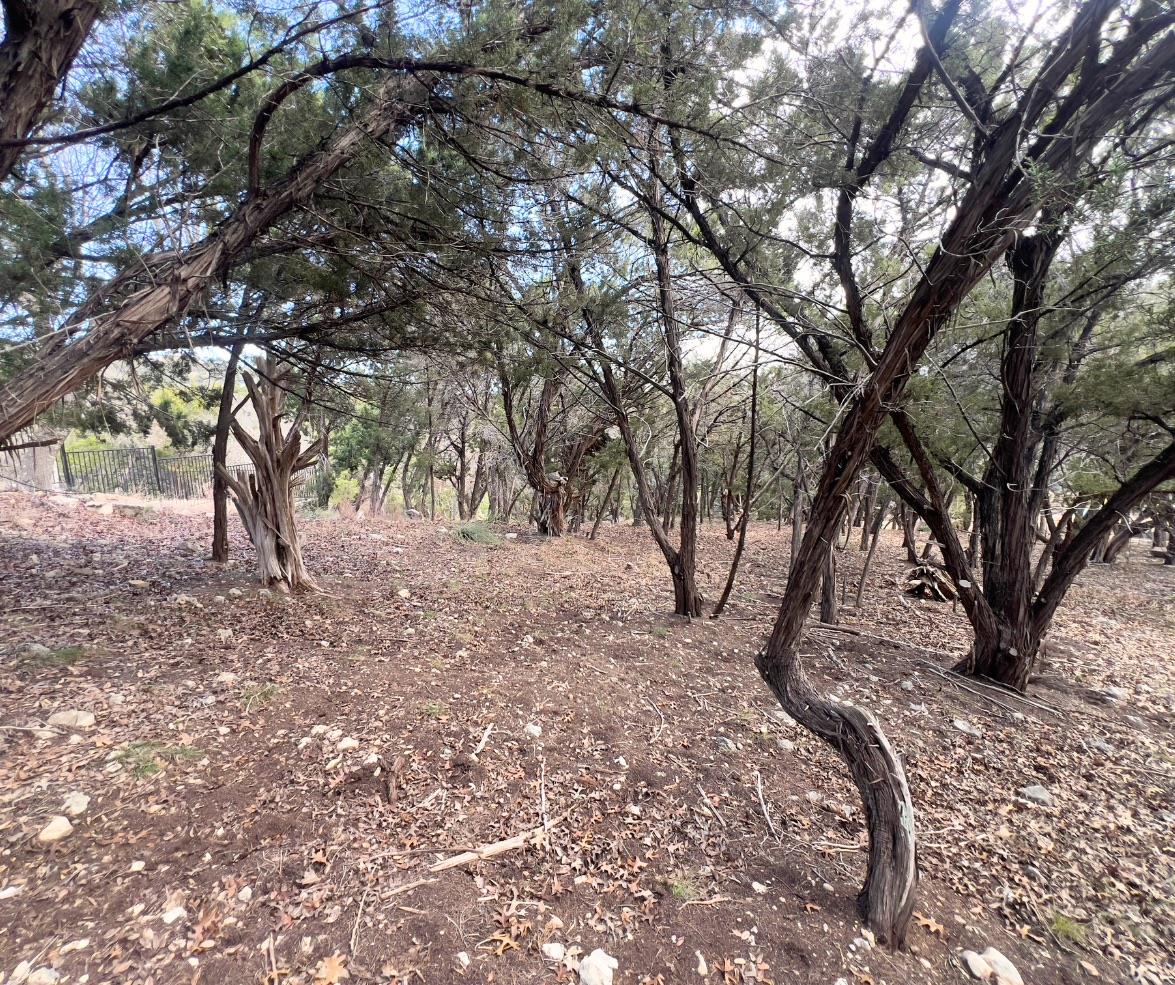 18505 Monet Pointe DR