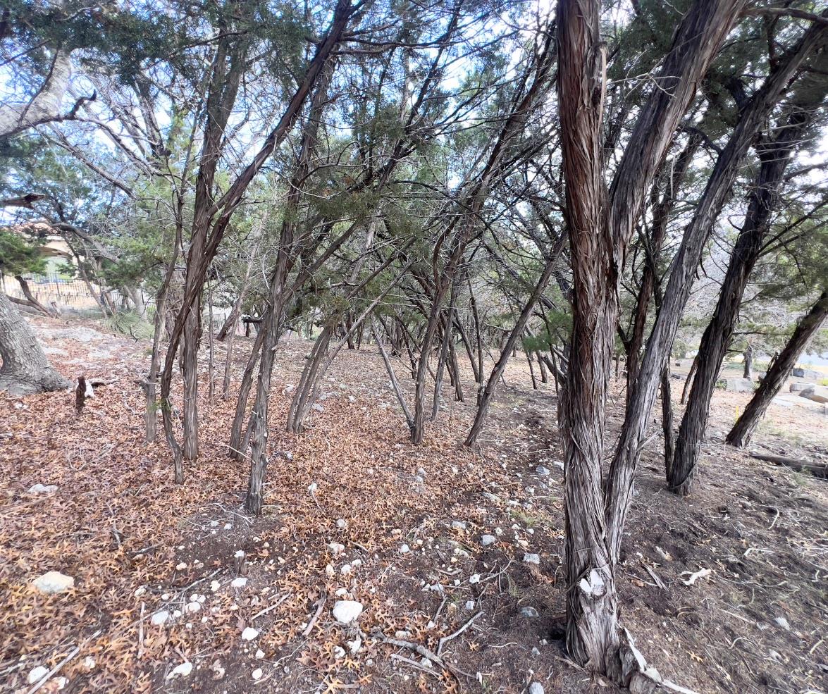 18505 Monet Pointe DR