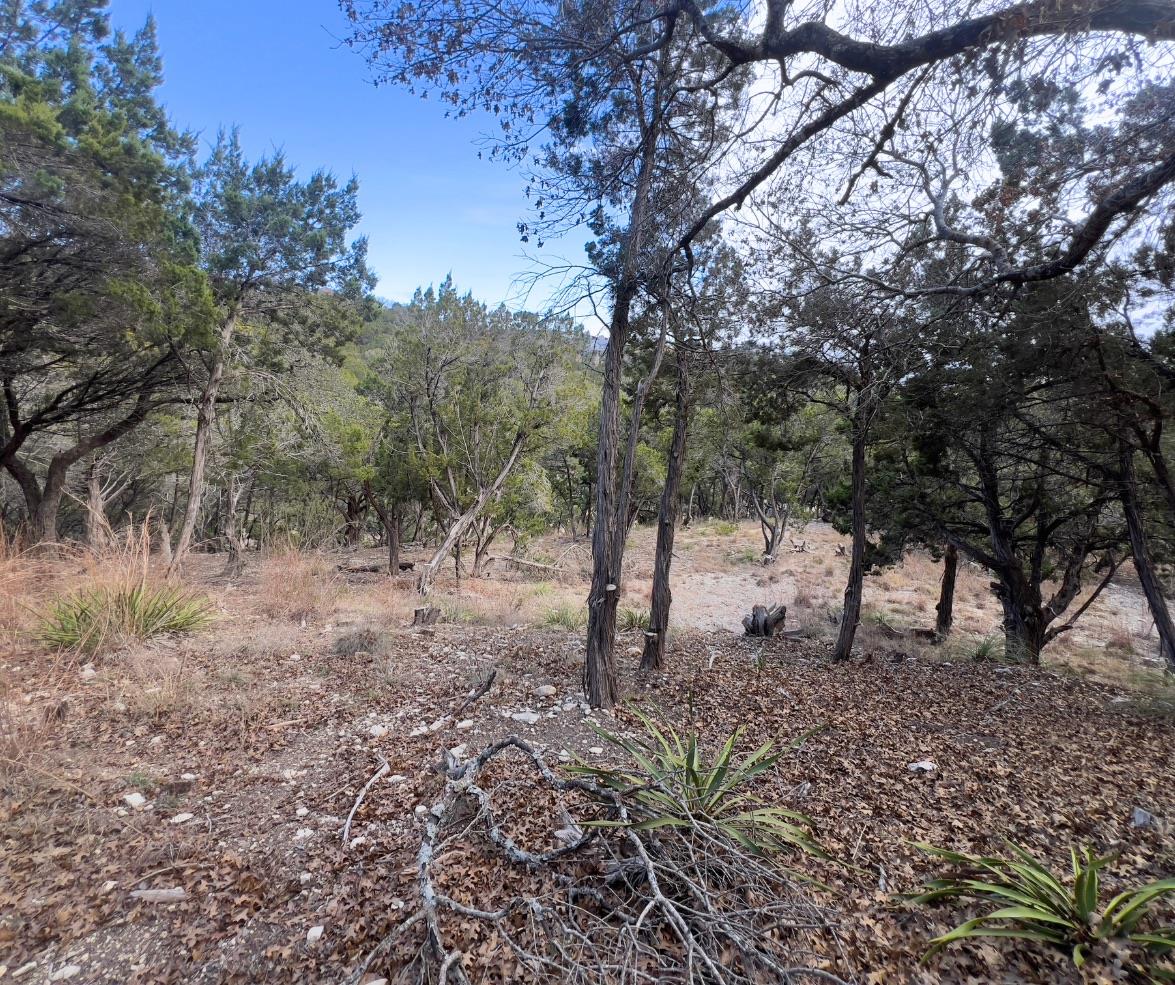 18505 Monet Pointe DR