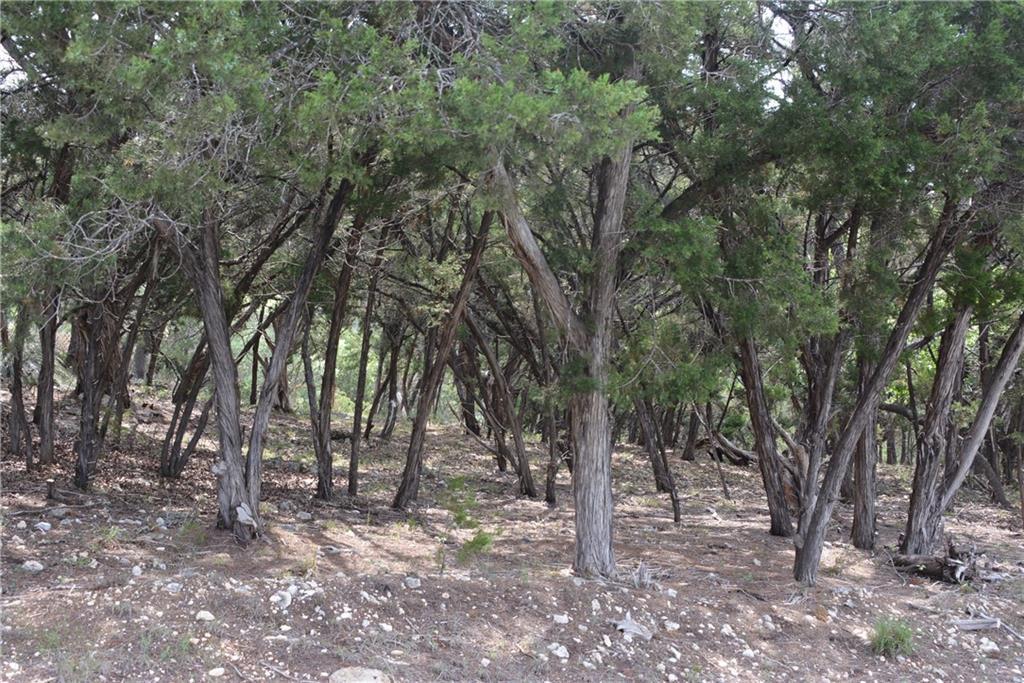 18505 Monet Pointe DR