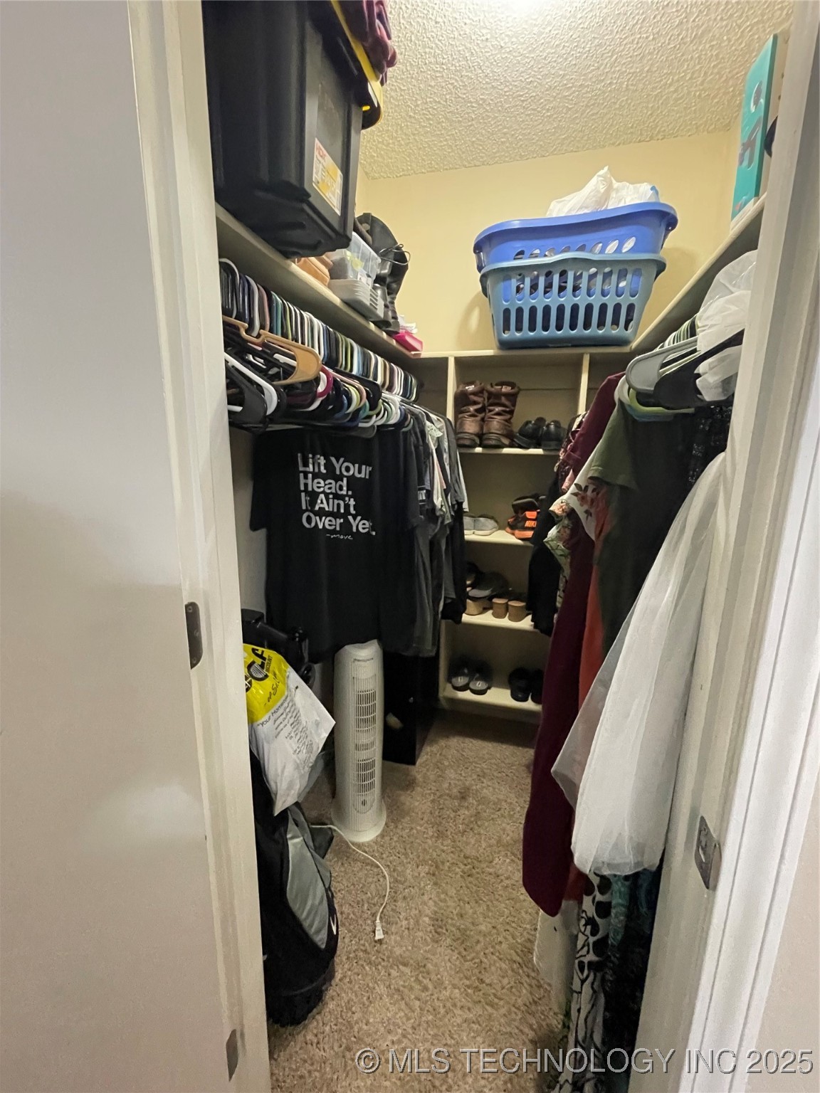 3800 S Narcissus Avenue