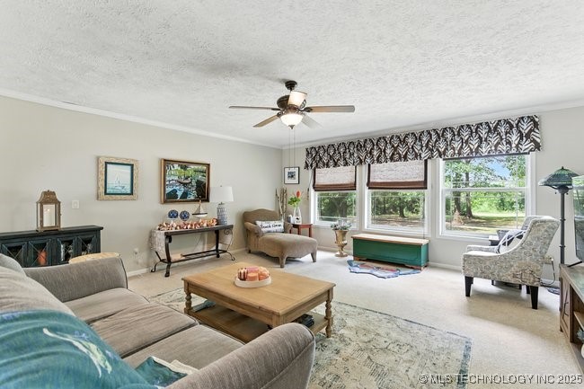 35230 W Montego Bay Road