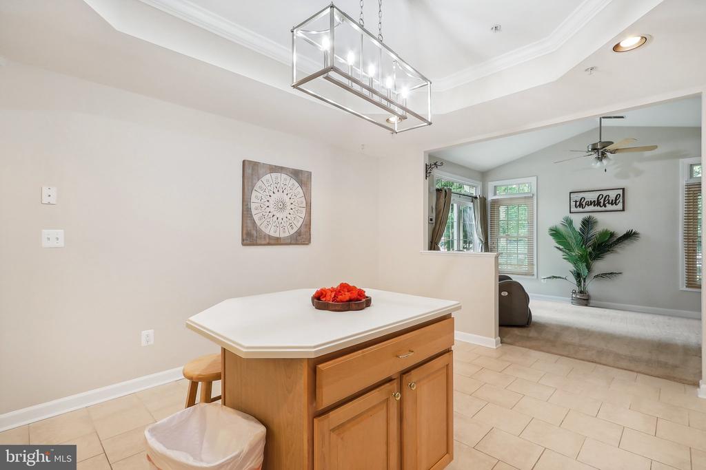 381 COLONY POINT PLACE