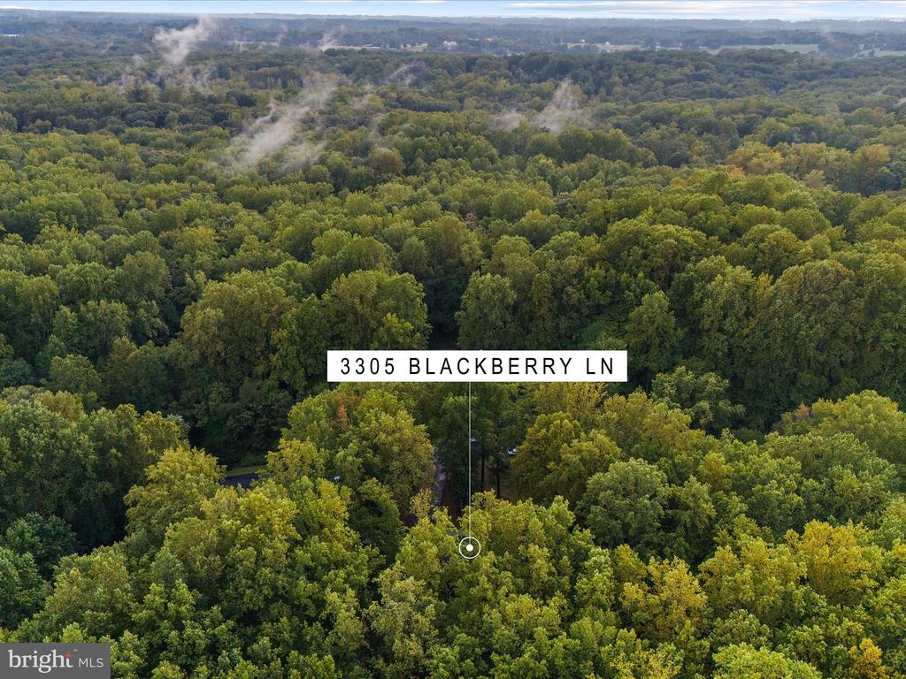 3305 BLACKBERRY LANE