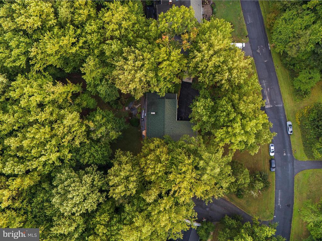 3305 BLACKBERRY LANE