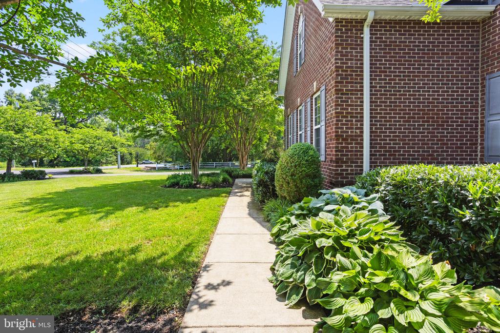 3325 COX ROAD