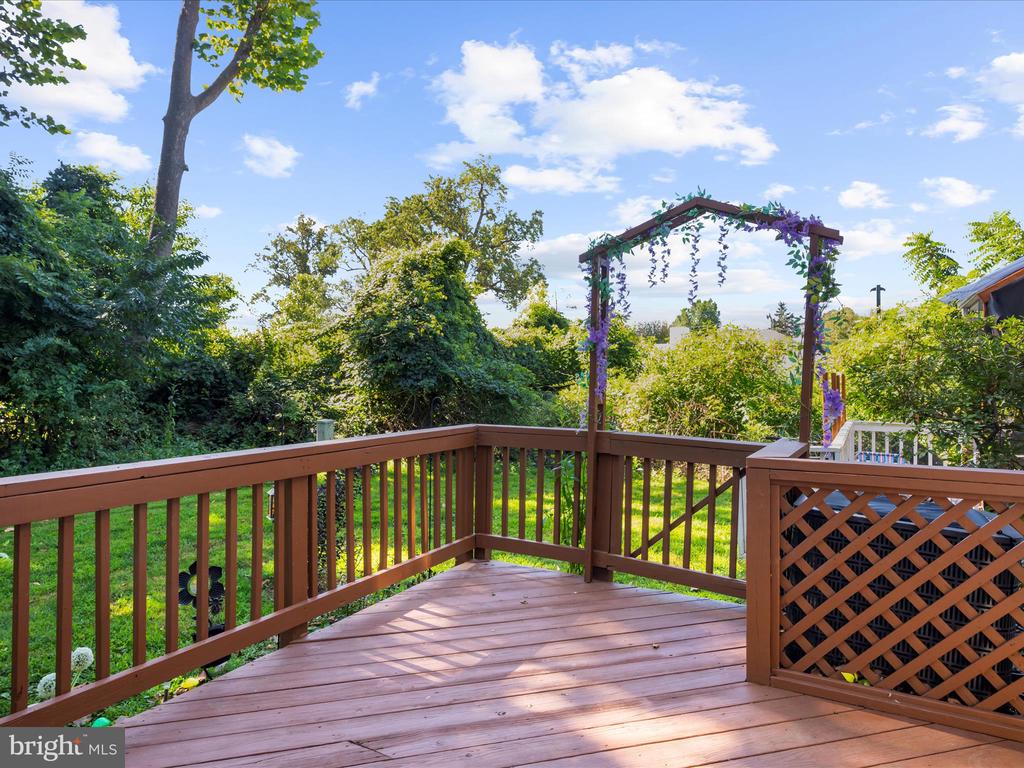 5 OHARA COURT