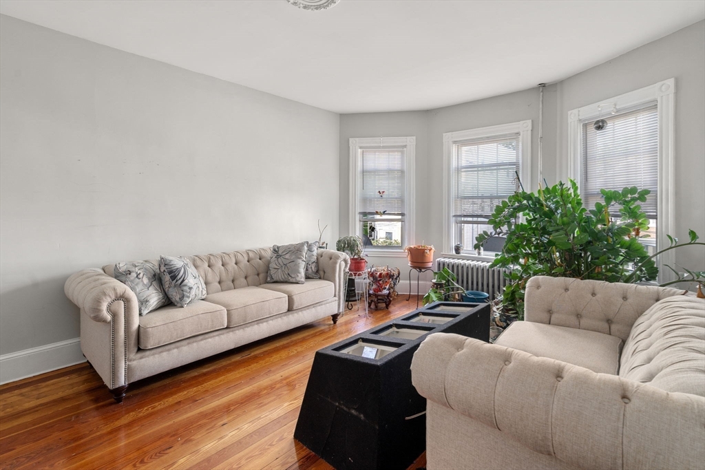 19 Elmhurst St