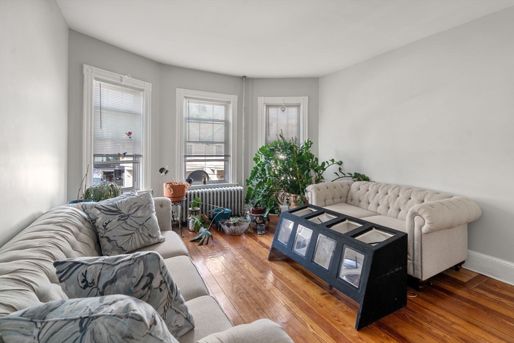 19 Elmhurst St