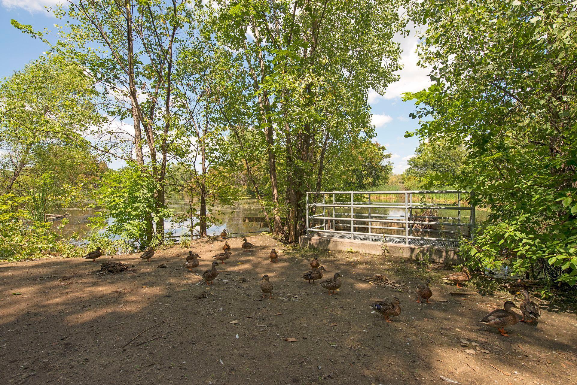 6615 Lake Shore Drive S Unit: 403